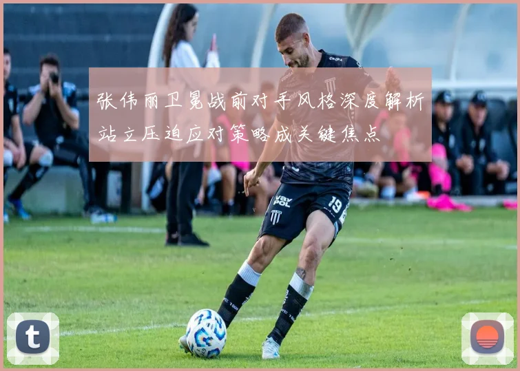 张伟丽卫冕战前对手风格深度解析站立压迫应对策略成关键焦点