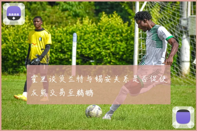 霍里谈莫兰特与锡安关系是否促使灰熊交易至鹈鹕